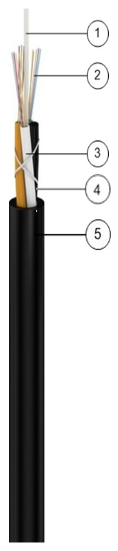 dpo
